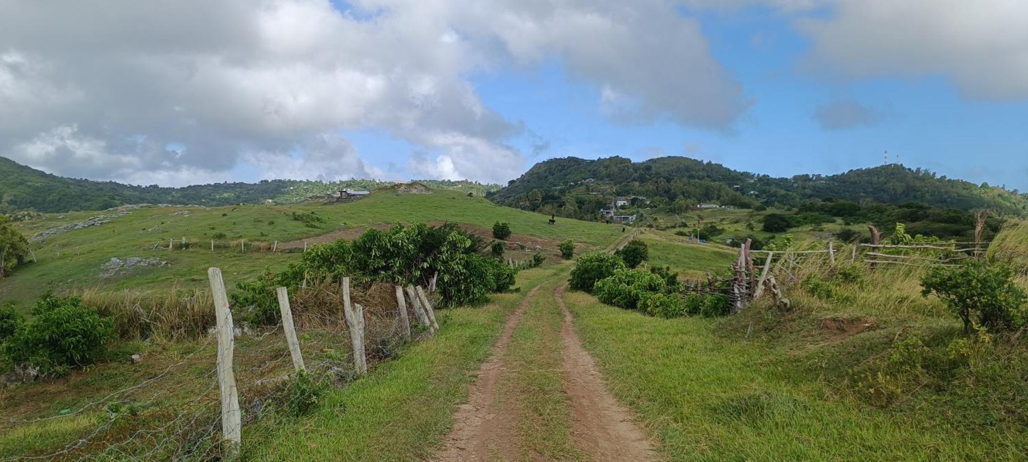 Amanda's Tiny Heaven La Ferme